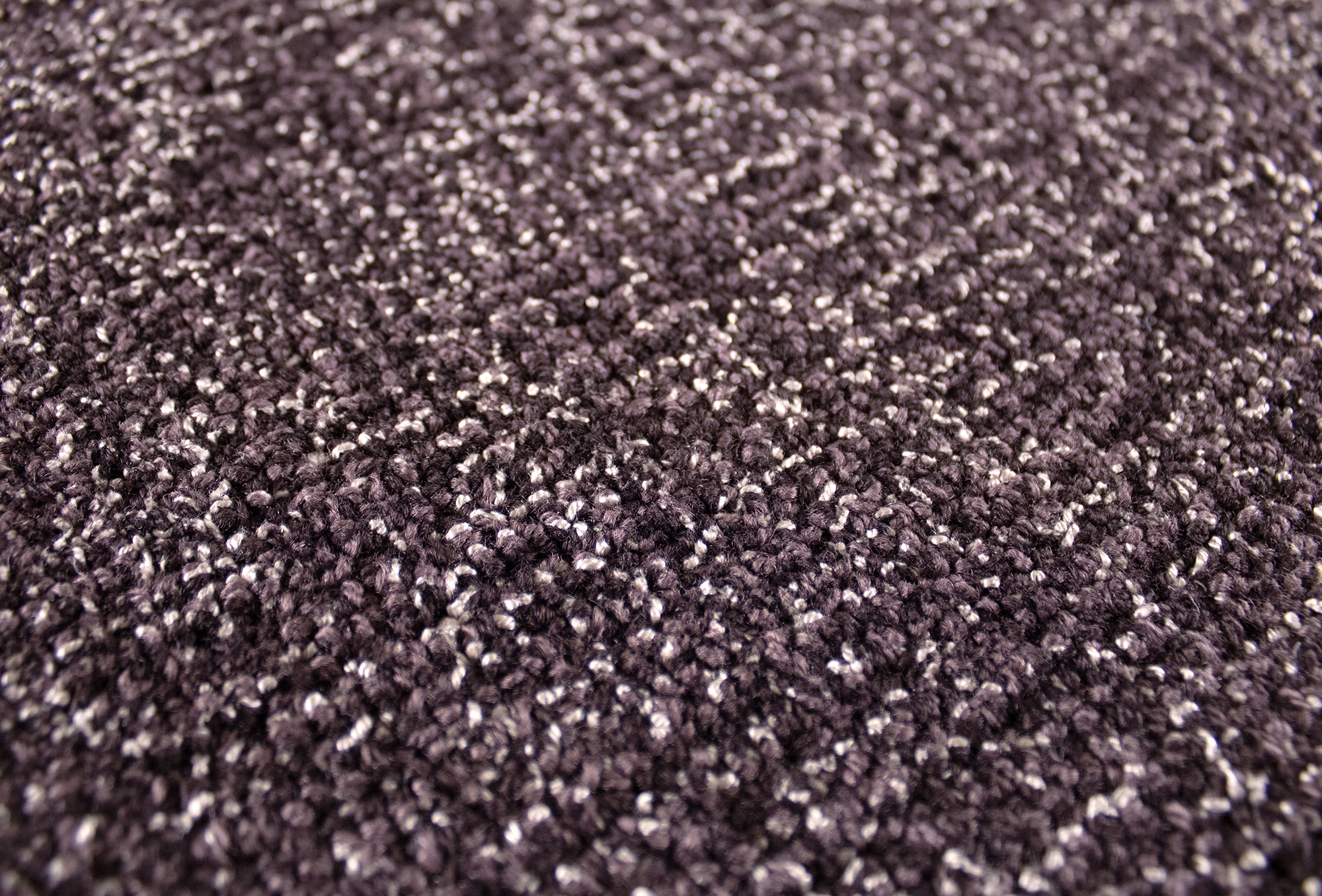 (QS) GR Focus B3 Detail 